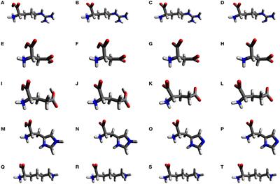 Conceptual DFT Descriptors of Amino Acids with Potential Corrosion Inhibition Properties Calculated with the Latest Minnesota Density Functionals